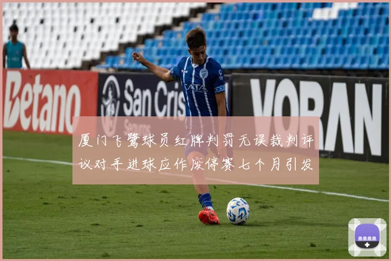 厦门飞鹭球员红牌判罚无误裁判评议对手进球应作废停赛七个月引发热议